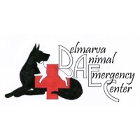 Image of Delmarva Animal Emergency Center