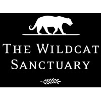Image of The Wildcat Sanctuary