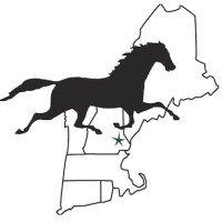 New England Equine Medical & Surgical Center logo