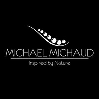 Michael Michaud Design logo