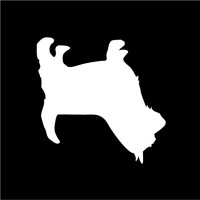 Underdog Studio Ltd. logo