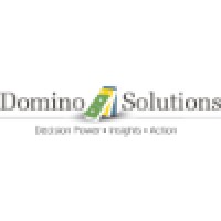Domino Solutions, LLC logo