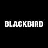 Blackbird Restaurant Group logo