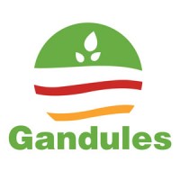 Gandules Inc