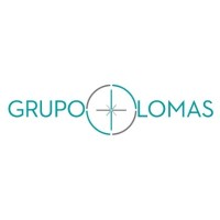 Lomas Travel logo