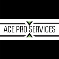 ACE Pro Services logo