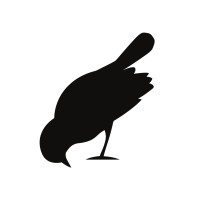 Bird On The Wire logo