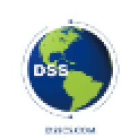 Dynamic Systems Solutions logo