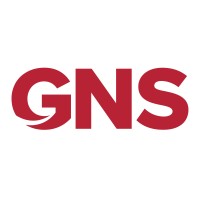 Global Network Security logo