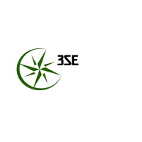 3SE Corp logo