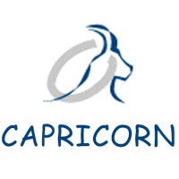NET CAPRICORN - International Advertising Agency Multiculicultural And Multichannel logo