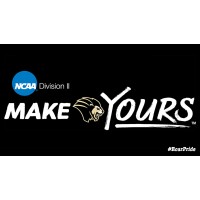 Purdue University Northwest Athletics logo