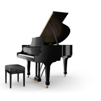 Park Avenue Pianos-Steinway Piano Dealer logo