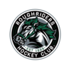 Omaha Lancers Hockey Team logo