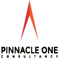 Pinnacle One Consultancy logo