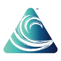 Summit Detox logo