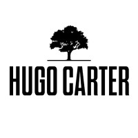 Hugo Carter - Silent Windows logo