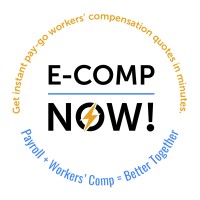 E-COMP, National Pay-Go Program To The Payroll Industry logo