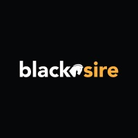Black Sire Technology Co., Ltd