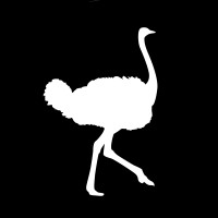 Flying Ostrich Media, Inc. logo