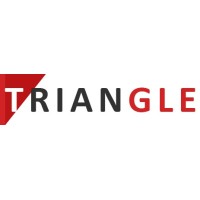 Triangle India logo