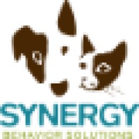 Synergy Behavior Solutions logo