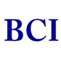 BCI Executive Search logo