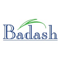 Badash Crystal logo