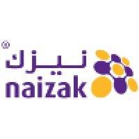 Naizak Global Engineering Systems logo