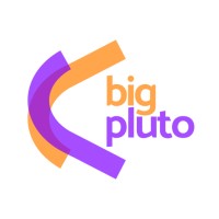 BigPluto Technologies Private Limited logo