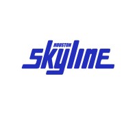 Image of Houston Skyline Volleyball