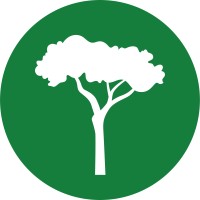 Image of International Tree Foundation