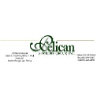 Pelican Advisory Group, Inc logo