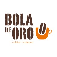 Bola De Oro logo