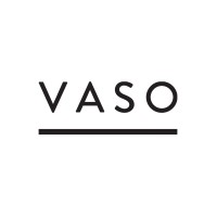 VASO logo