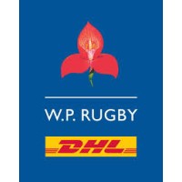 Stormers/WP Rugby logo