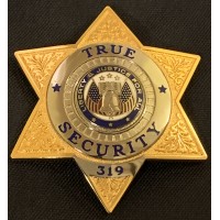 True Security, LLC logo