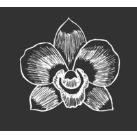 The Black Orchid logo
