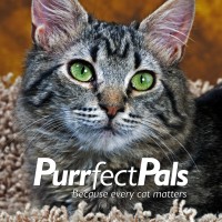 Image of Purrfect Pals Cat Sanctuary and Adoption Centers