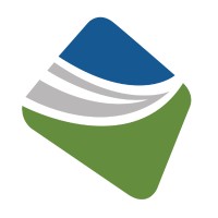 Brandon Insurance Group logo