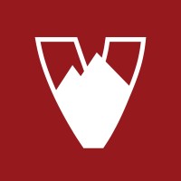 Velosolutions Global logo