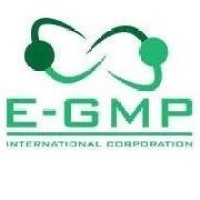 E-GMP International Corporation logo