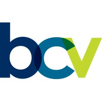 BCV Asset Management Inc.