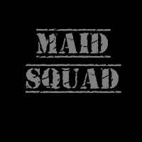 Dubai Maid Squad Professional Cleaning Services logo