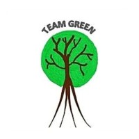 Team Green logo