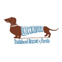 Low Rider Dachshund Rescue FL Inc logo