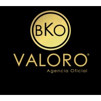 Valoro logo