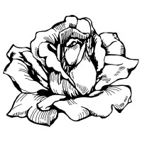Elisabeth Rose logo