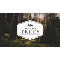 Top Tier Trees logo