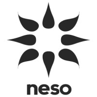 Neso LLC logo